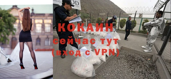 прущие грибы Куйбышев